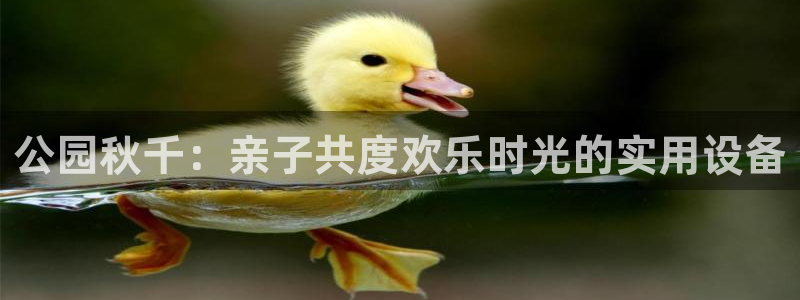 征途国际娱乐是那个系列的台子