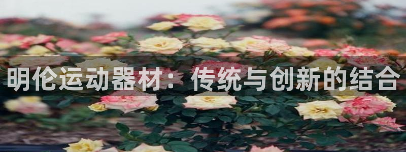 征途国际开户：明伦运动器材：传统与创新的结合