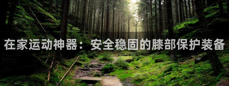 征途国际娱乐首页官网下载：在家运动神器：安全稳固的膝