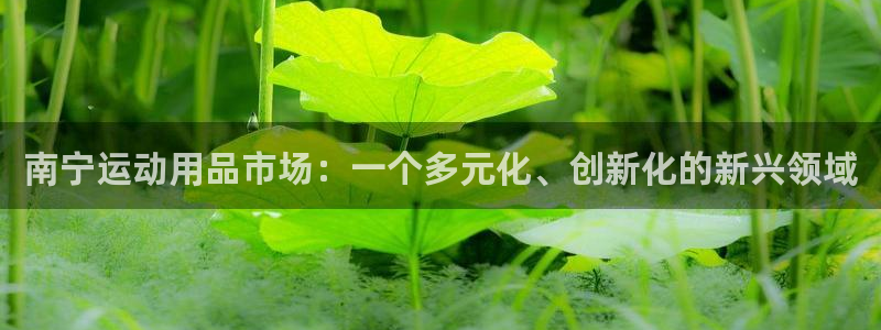 征途国际平台体育