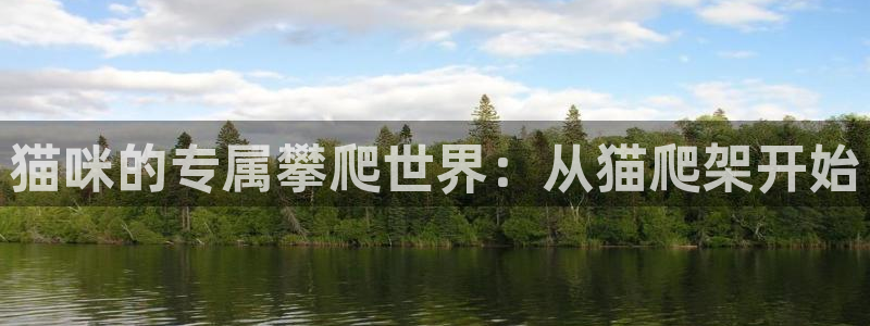 征途国际招商电话是多少号码