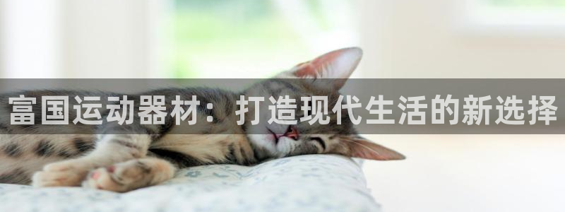 征途国际软件