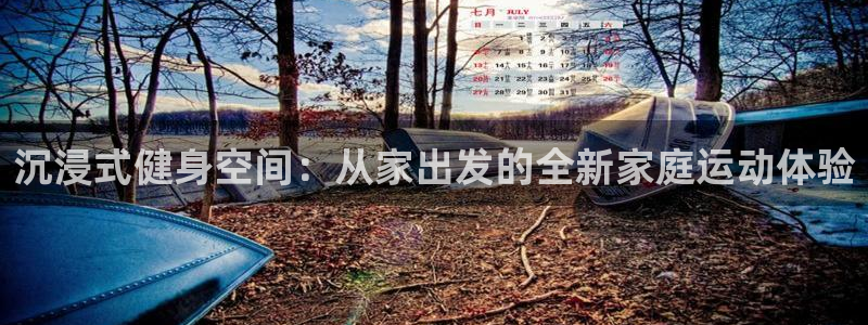 征途国际集团简介