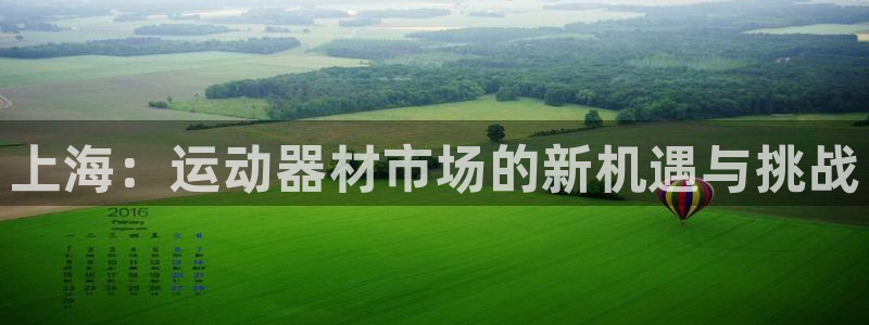 征途国际新能源
