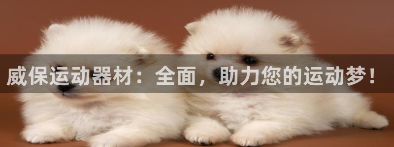 征途国际联系电话：威保运动器材：全面，助力您的运动梦！