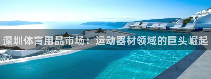 征途国际集团E.ON：深圳体育用品市场：运动器材领域