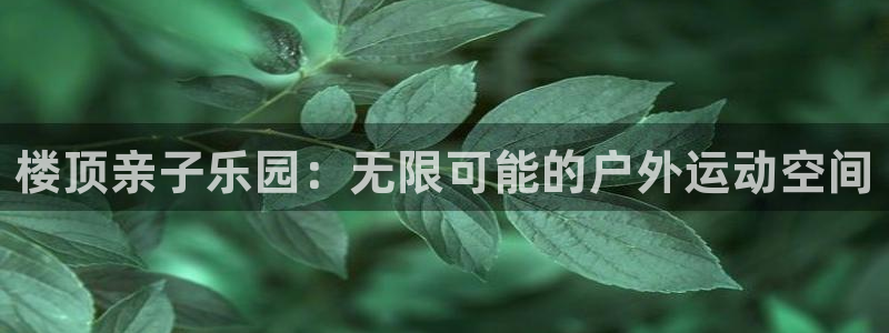 征途国际平台注册要钱吗：楼顶亲子乐园：无限可能的户外
