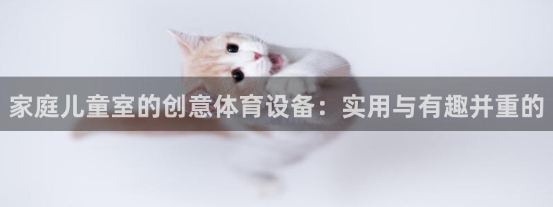 征途国际开户：家庭儿童室的创意体育设备：实用与有趣并