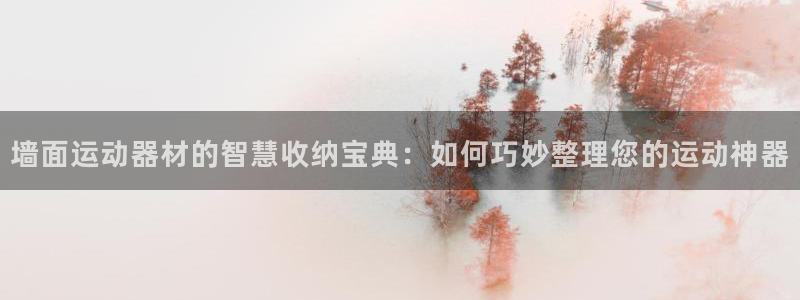 征途国际注册：墙面运动器材的智慧收纳宝典：如何巧妙整