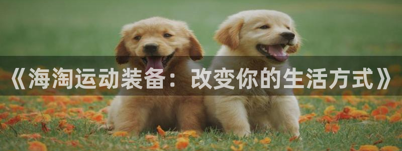 德国征途国际集团：《海淘运动装备：改变你的生活方式》