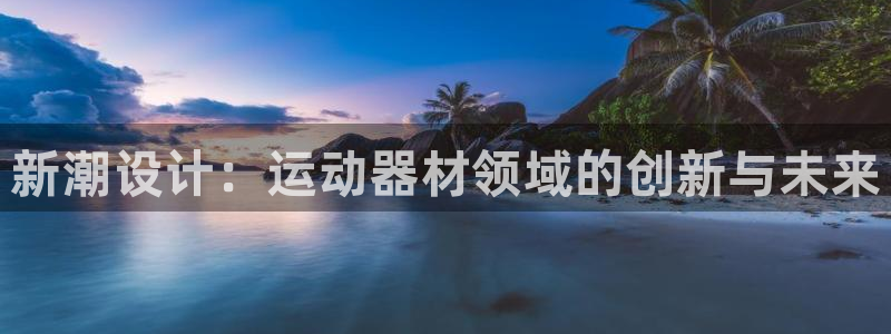 征途国际是干嘛的公司