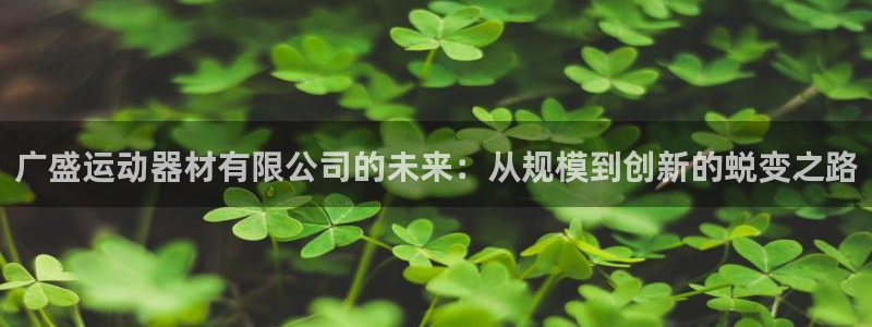 征途国际招商电话地址是多少：广盛运动器材有限公司的未来：从规