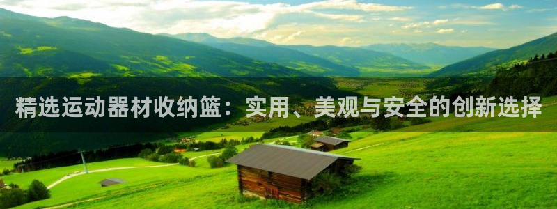 征途国际集团简介：精选运动器材收纳篮：实用、美观与安全的创新