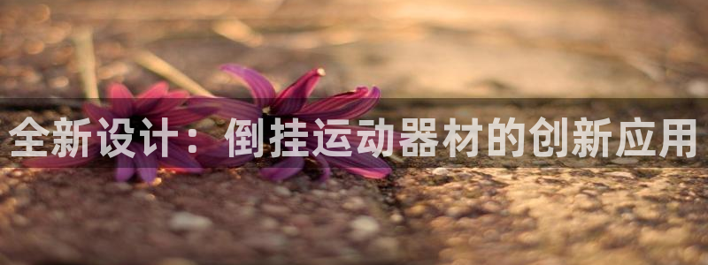 征途国际招商电话号码是多少号