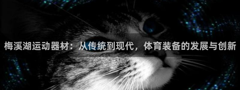 征途国际娱乐平台：梅溪湖运动器材：从传统到现代，体育装备的发