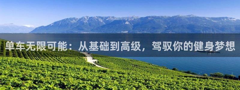 征途国际招商电话是多少：单车无限可能：从基础到高级，